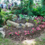 DSC00565
