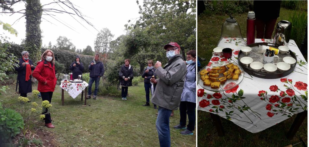 Alchemille bio Brocéliande – L'hermine et l'ajonc