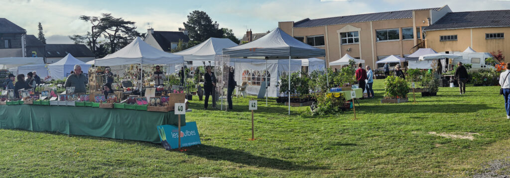 Panorama du salon végétal