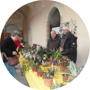 Troc de plantes et graines